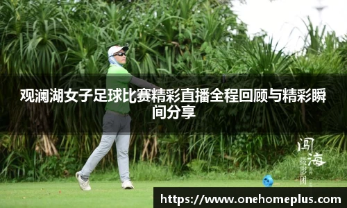  辉达娱乐官网