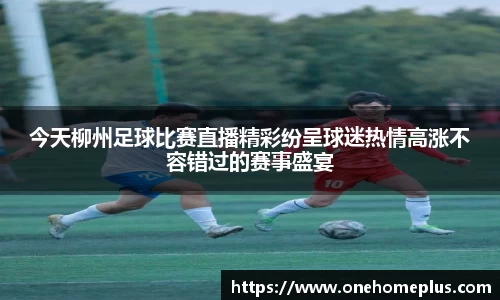 今天柳州足球比赛直播精彩纷呈球迷热情高涨不容错过的赛事盛宴