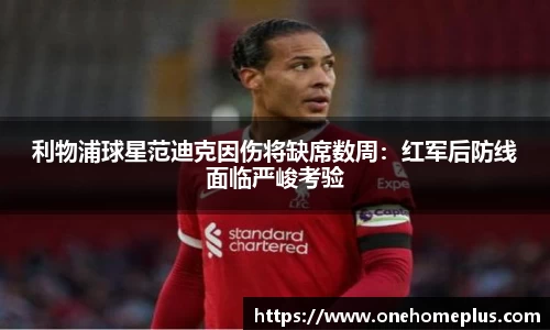 辉达平台娱乐