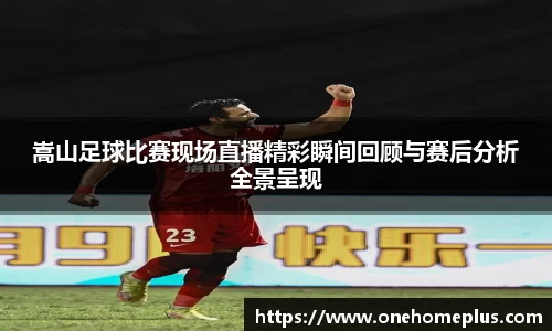 辉达娱乐下载