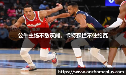 公牛主场不敌灰熊，卡特森拦不住约瓦